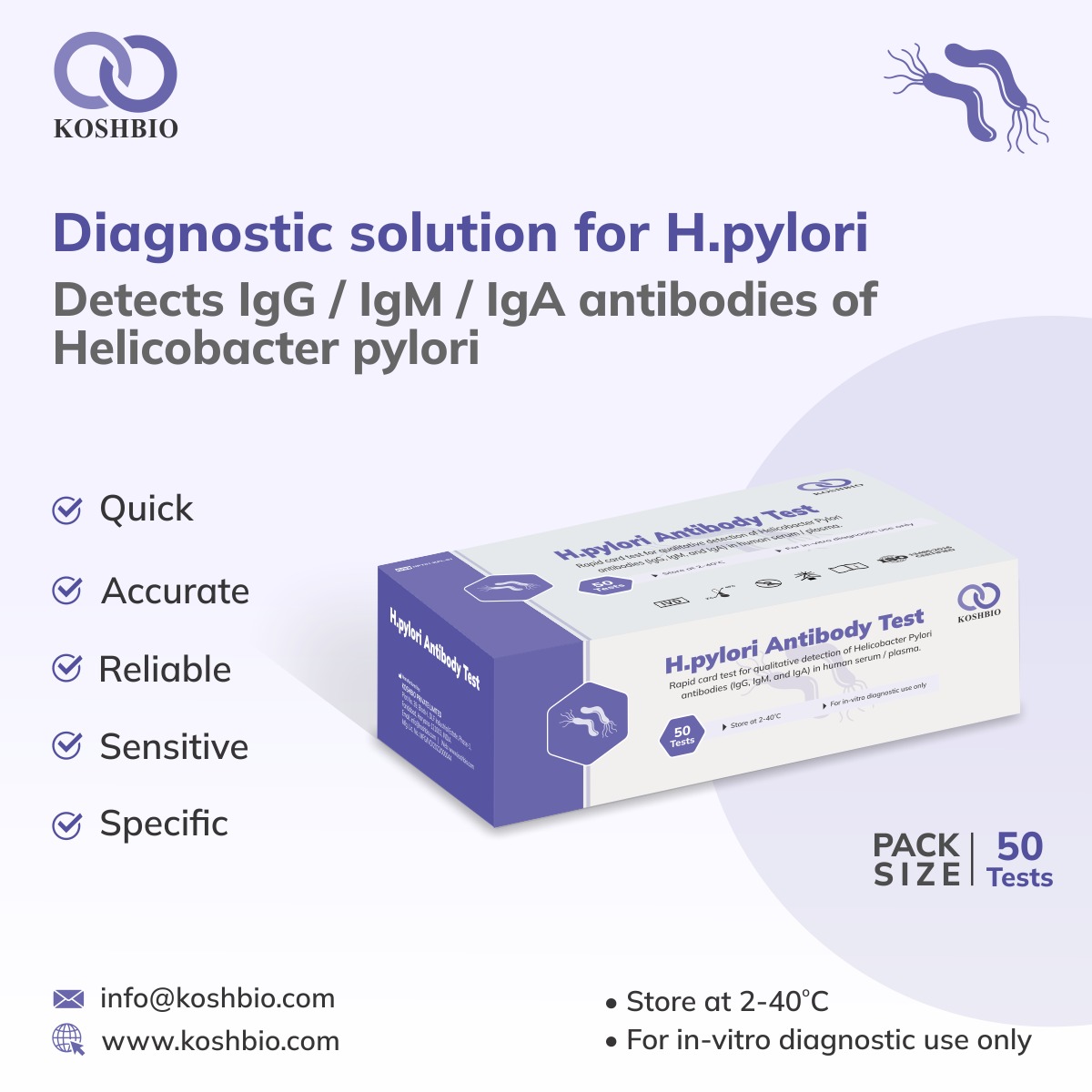 H.Pylori Antibody Test 